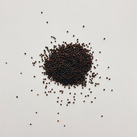 Mustard Seeds Brown