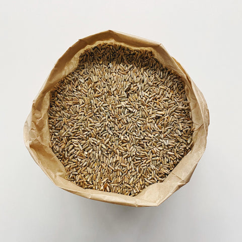 Rye Grain Biodynamic