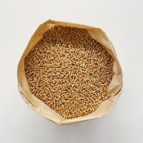 Spelt Grain Biodynamic