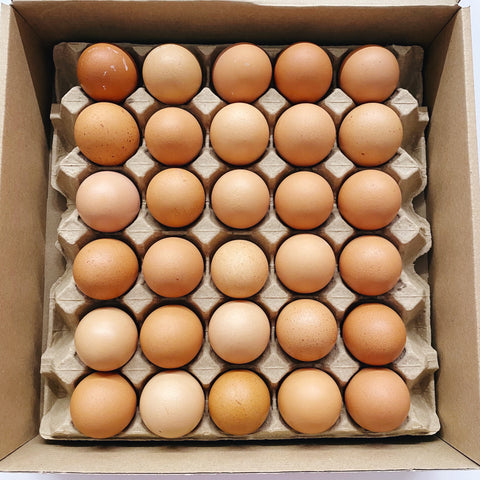 Egg Snob - 30 Egg Tray