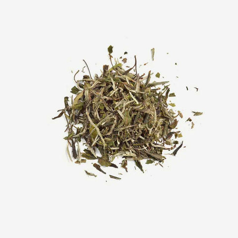 White Tea Loose Leaf