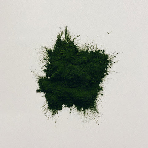 Chlorella Powder Organic