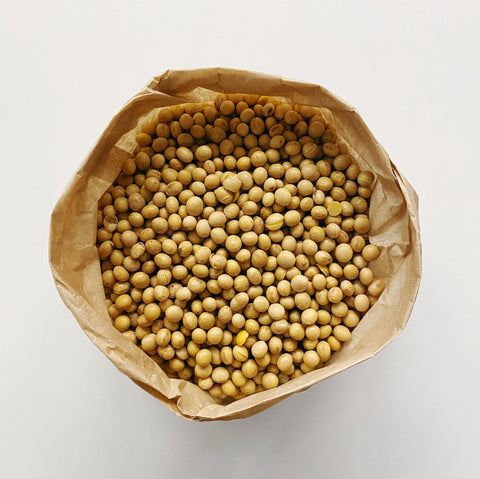 Soya Beans Organic